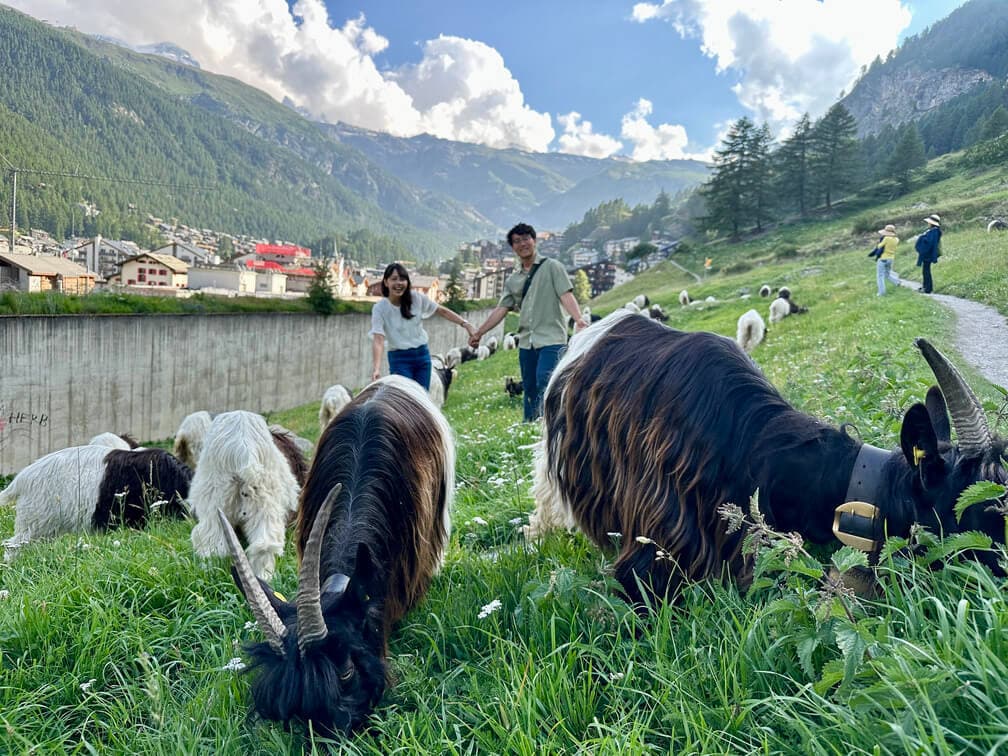 瑞士自由行旅遊攻略-策馬特馬特洪峰行程推薦img-7653