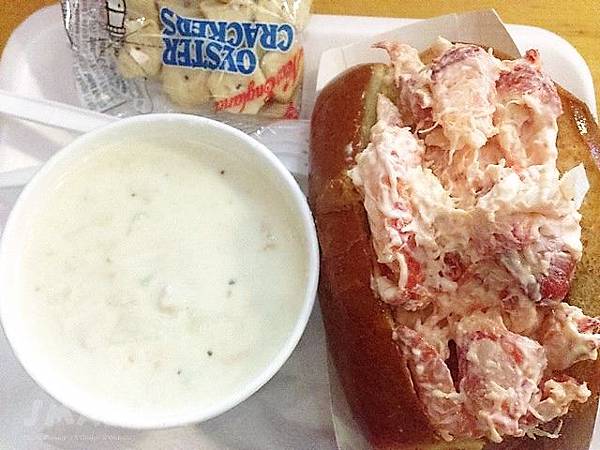 【美東旅遊】波士頓旅行3日遊行程規劃懶人包！自由大道,哈佛,MIT,吃龍蝦,波士頓美術館,各大廣場！波士頓旅遊好吃好玩行程攻略快速玩透透!!