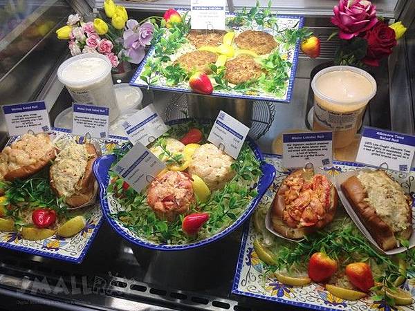 【美東旅遊】波士頓旅行3日遊行程規劃懶人包！自由大道,哈佛,MIT,吃龍蝦,波士頓美術館,各大廣場！波士頓旅遊好吃好玩行程攻略快速玩透透!!