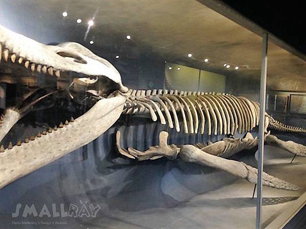 【美東旅遊】波士頓旅行3日遊行程規劃懶人包！自由大道,哈佛,MIT,吃龍蝦,波士頓美術館,各大廣場！波士頓旅遊好吃好玩行程攻略快速玩透透!!