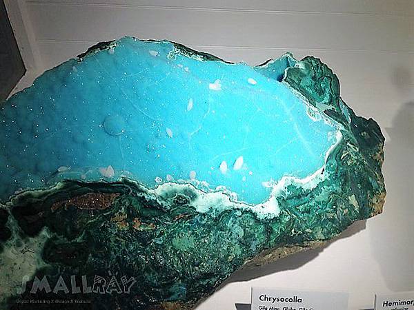 【美東旅遊】波士頓旅行3日遊行程規劃懶人包！自由大道,哈佛,MIT,吃龍蝦,波士頓美術館,各大廣場！波士頓旅遊好吃好玩行程攻略快速玩透透!!