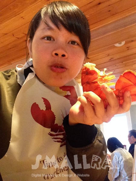 【美國東岸緬因州旅遊】緬因州旅遊攻略,緬因必去行程推薦!全美國最好吃的龍蝦就在緬因州!!酒吧海港,阿卡迪亞國家公園,波特蘭燈塔,緬因最佳動物園約克動物園