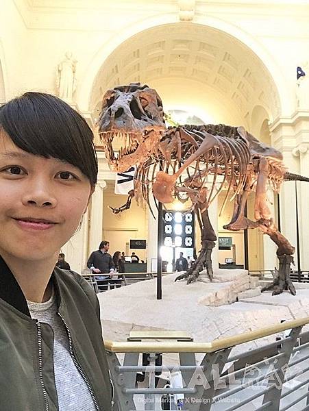 【美國芝加哥旅遊】芝加哥四天三夜超順路旅遊攻略懶人包,必去景點大推薦!!!美國最高360度玻璃景觀Willis Tower, 坐船看芝加哥天際線,芝加哥藝術博物館