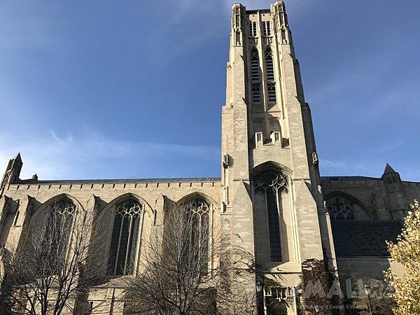 【美國芝加哥旅遊】芝加哥四天三夜超順路旅遊攻略懶人包,必去景點大推薦!!!美國最高360度玻璃景觀Willis Tower, 坐船看芝加哥天際線,芝加哥藝術博物館