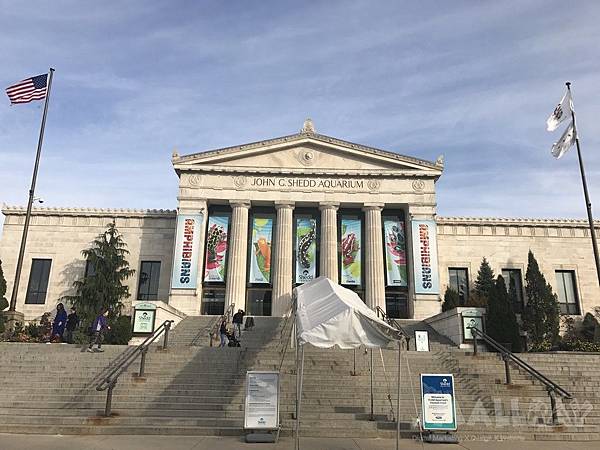 【美國芝加哥旅遊】芝加哥四天三夜超順路旅遊攻略懶人包,必去景點大推薦!!!美國最高360度玻璃景觀Willis Tower, 坐船看芝加哥天際線,芝加哥藝術博物館