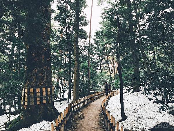 【日本中部北陸與名古屋自由行(上)】7天行程推薦懶人包－絕美童話的白川鄉合掌村,世界有名金澤握壽司,高山市飛驒牛,平湯溫泉,新穗高纜車,日本三大溫泉下呂溫泉,松本城,名古屋名花之里燈海7