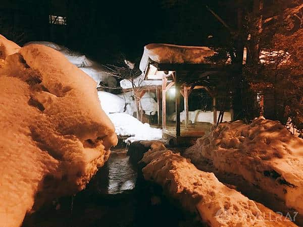 【日本中部北陸與名古屋自由行(下)】7天行程推薦懶人包－名古屋名花之里燈海,平湯溫泉,新穗高纜車,草間彌生故鄉松本市,絕美童話的白川鄉合掌村,世界有名金澤握壽司,高山市飛驒牛,日本三大溫泉下呂溫泉