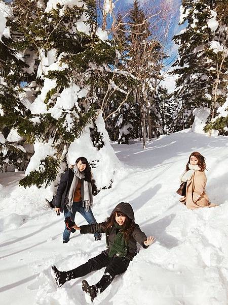 【日本中部北陸與名古屋自由行(下)】7天行程推薦懶人包－名古屋名花之里燈海,平湯溫泉,新穗高纜車,草間彌生故鄉松本市,絕美童話的白川鄉合掌村,世界有名金澤握壽司,高山市飛驒牛,日本三大溫泉下呂溫泉