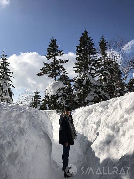 【日本中部北陸與名古屋自由行(下)】7天行程推薦懶人包－名古屋名花之里燈海,平湯溫泉,新穗高纜車,草間彌生故鄉松本市,絕美童話的白川鄉合掌村,世界有名金澤握壽司,高山市飛驒牛,日本三大溫泉下呂溫泉