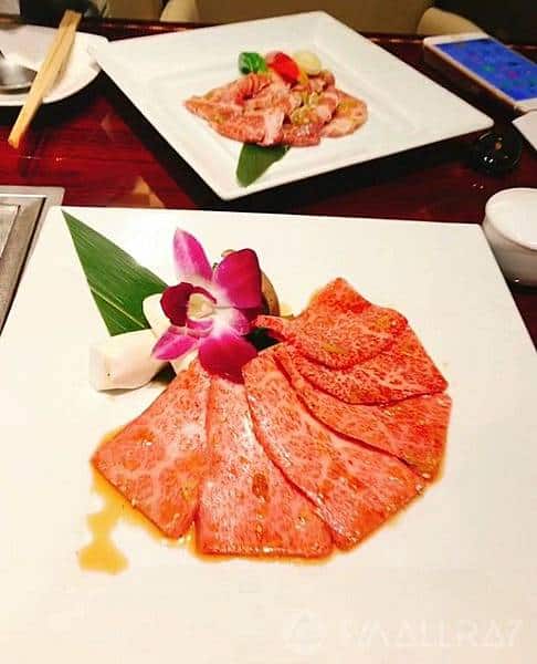 【日本中部北陸與名古屋自由行(下)】7天行程推薦懶人包－名古屋名花之里燈海,平湯溫泉,新穗高纜車,草間彌生故鄉松本市,絕美童話的白川鄉合掌村,世界有名金澤握壽司,高山市飛驒牛,日本三大溫泉下呂溫泉