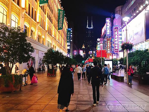 【上海旅遊】中國魔都上海四天三夜超順路旅遊攻略懶人包,所有必去景點規劃大推薦!!!超省錢坐船看外灘夜景,世界第二高上海中心大廈看上海全景,絕美豫園老街,田子坊