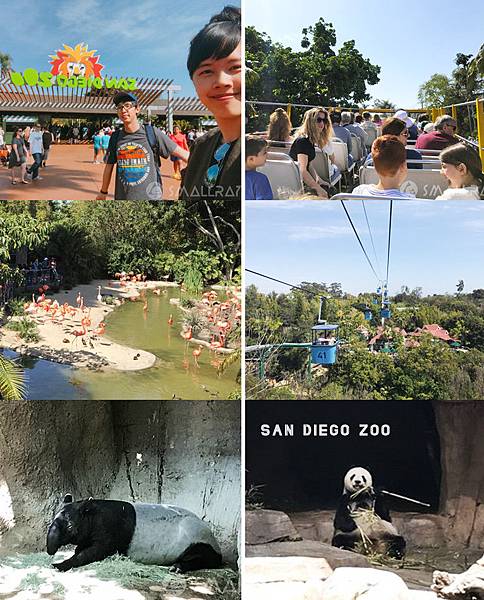【美國西岸加州聖地牙哥旅遊】聖地牙哥四天三夜超順路旅遊攻略懶人包,必去景點大推薦!!!全美最猛海岸線沙灘La Jolla Cove、全美第一動物園與海洋世界、以及最美藝術公園巴爾波