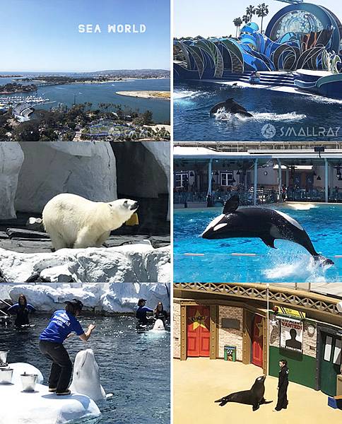 【美國西岸加州聖地牙哥旅遊】聖地牙哥四天三夜超順路旅遊攻略懶人包,必去景點大推薦!!!全美最猛海岸線沙灘La Jolla Cove、全美第一動物園與海洋世界、以及最美藝術公園巴爾波