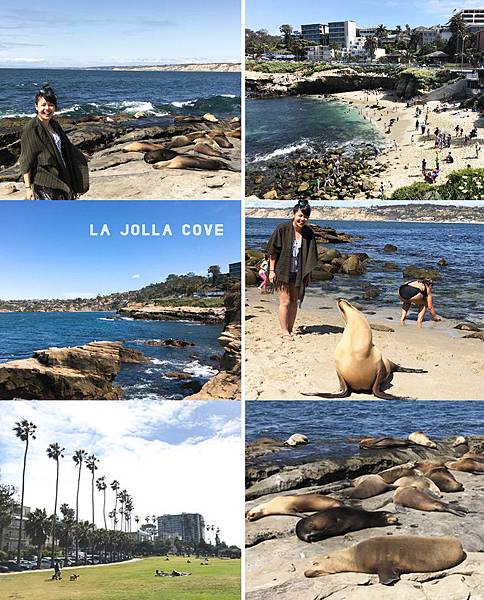【美國西岸加州聖地牙哥旅遊】聖地牙哥四天三夜超順路旅遊攻略懶人包,必去景點大推薦!!!全美最猛海岸線沙灘La Jolla Cove、全美第一動物園與海洋世界、以及最美藝術公園巴爾波